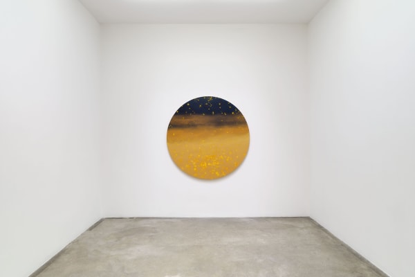 Sandra Cinto installation images at TBG LA.