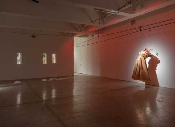 Lima installation image.
