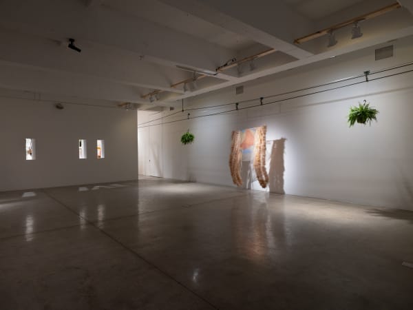 Lima installation image.