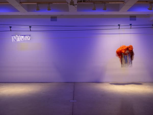 Lima installation image.