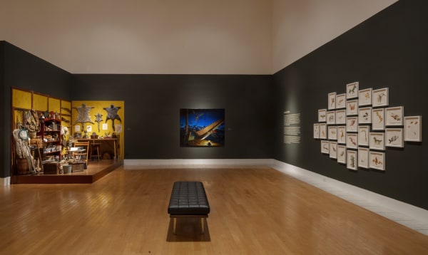 Installation of Mark Dion and Alexis Rockman: Journey to Nature's Underworld at the Lowe Art Museum, University of Miami.