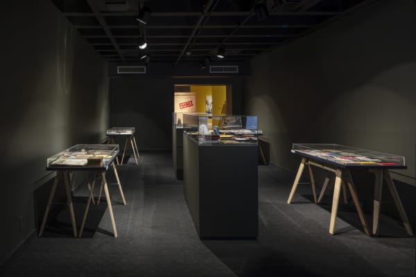 Installation of Mark Dion and Alexis Rockman: Journey to Nature's Underworld at the Lowe Art Museum, University of Miami.