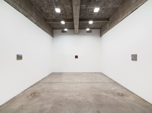 Dana Powell installation images.