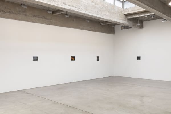 Dana Powell installation images.