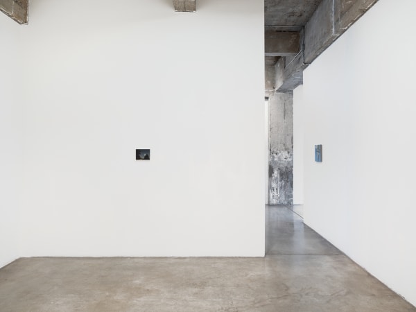 Dana Powell installation images.