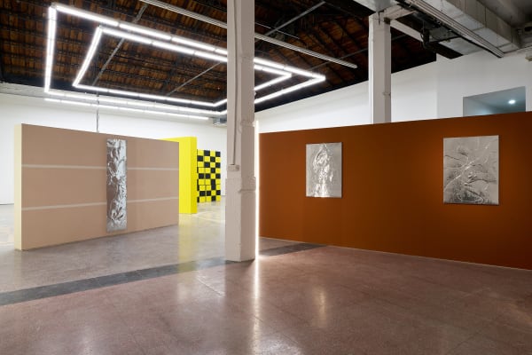 Installation view of A Lyriform Organ, Antenna Space, Shanghai.