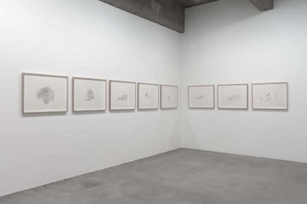 Cinto installation - blue painting and drawings