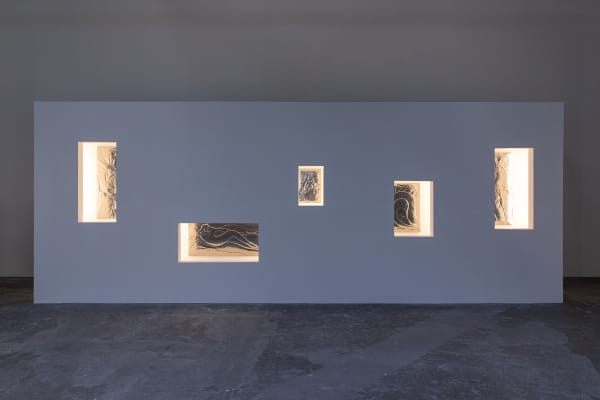 Installation view of with what eyes? Curated by Diego Villalobos CCA Wattis Institute, San Francisco.