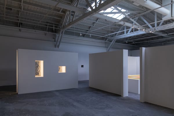 Installation view of with what eyes? Curated by Diego Villalobos CCA Wattis Institute, San Francisco.