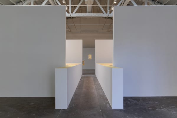 Installation view of with what eyes? Curated by Diego Villalobos CCA Wattis Institute, San Francisco.