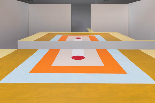 Installation view of with what eyes? Curated by Diego Villalobos CCA Wattis Institute, San Francisco.