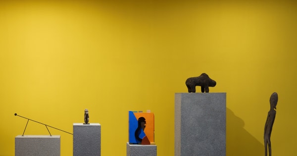 Installation view of Pasado Curated by Marta Mestre Centro Internacional das Artes José de Guimarães, Guimarães.