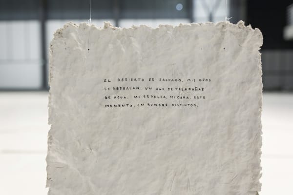 Installation images at Museo Universitario del Chopo Mexico City.