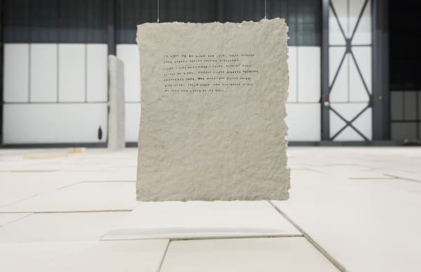 Installation images at Museo Universitario del Chopo Mexico City.