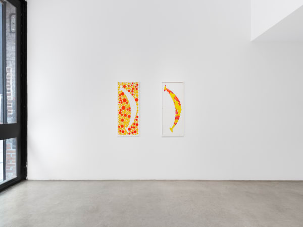 Roland's installation image.