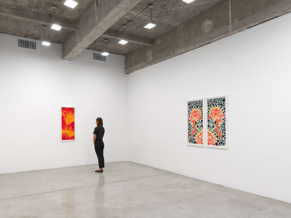 Roland's installation image.