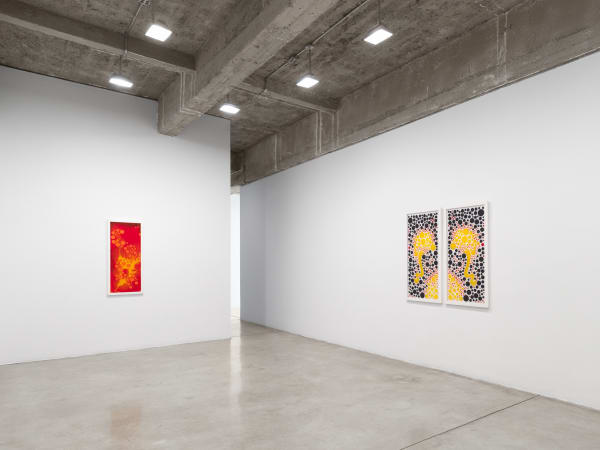 Roland's installation image.