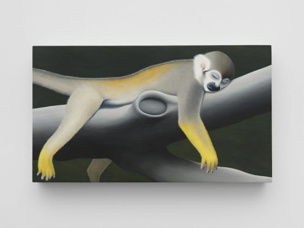 Image of Rodrigo Hernández: stars around this beautiful moon hide back their luminous form.