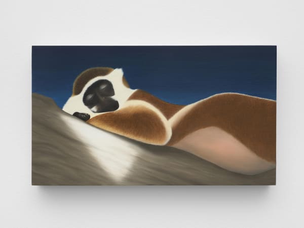 Image of Rodrigo Hernández: stars around this beautiful moon hide back their luminous form.