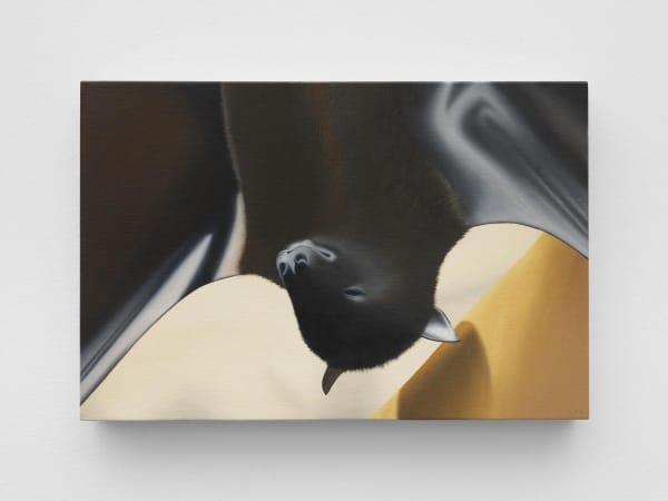 Image of Rodrigo Hernández: stars around this beautiful moon hide back their luminous form.