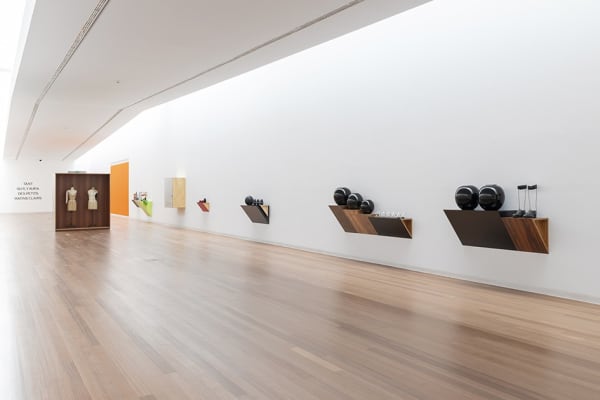 Haim Steinbach' Object for People installation image.