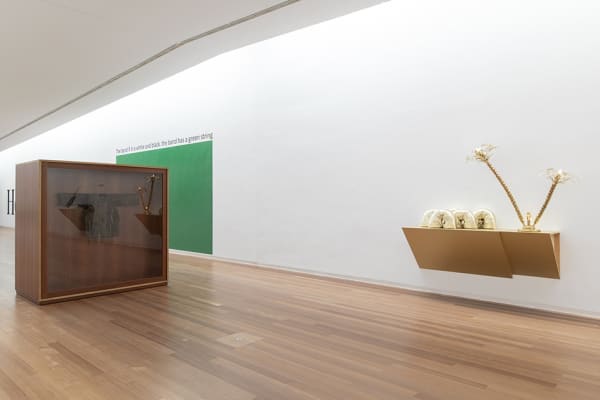 Haim Steinbach' Object for People installation image.