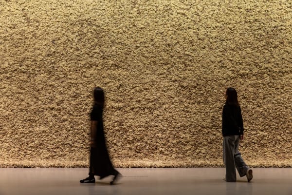 Installation view: Olafur Eliasson: Your curious journey, Taipei Fine Arts Museum, 2025
