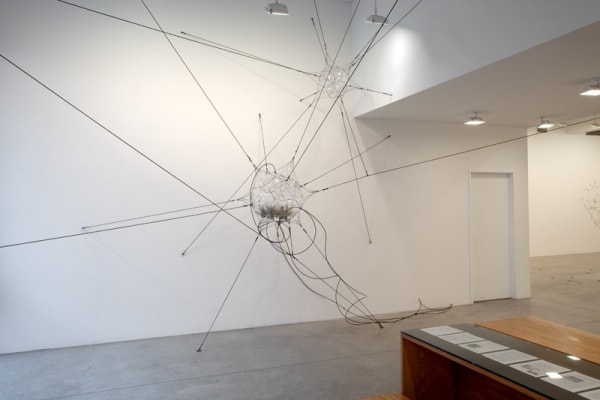 Saraceno plant connectdome