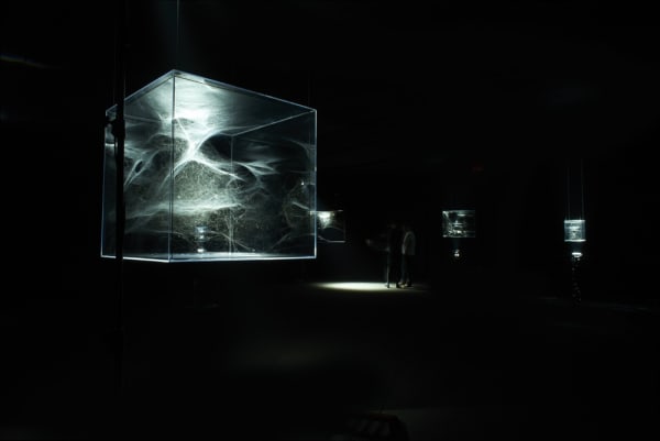 Saraceno spider box installation in dark