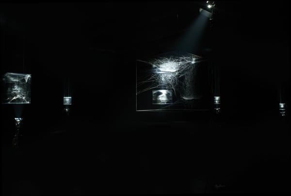 Saraceno spider box installation in dark