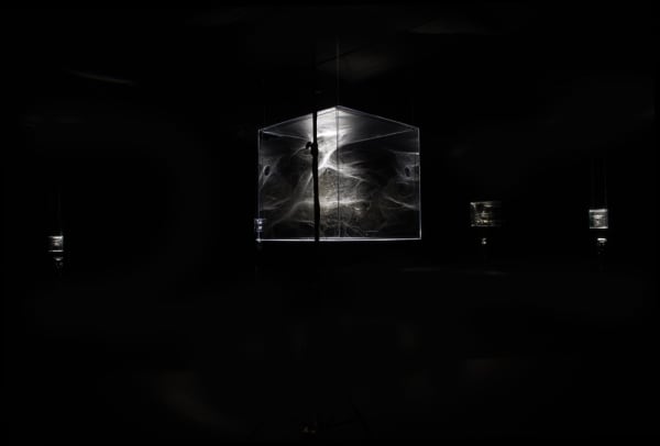 Saraceno spider box installation in dark
