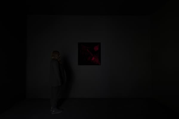 Saraceno laser spider web