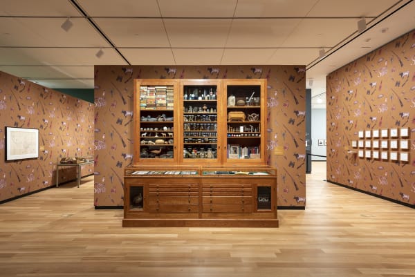 Dion cabinet