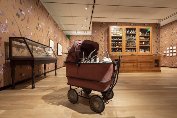 Dion install view Amon Carter