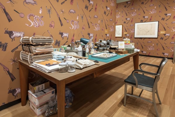 Dion install view Amon Carter
