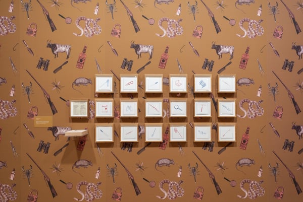 Dion install view Amon Carter