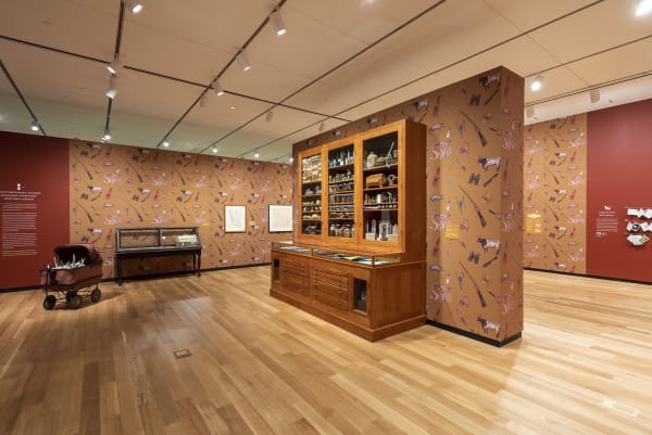Dion cabinet