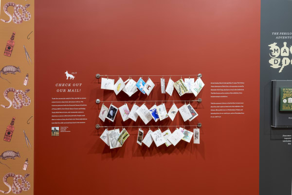 Dion install view Amon Carter