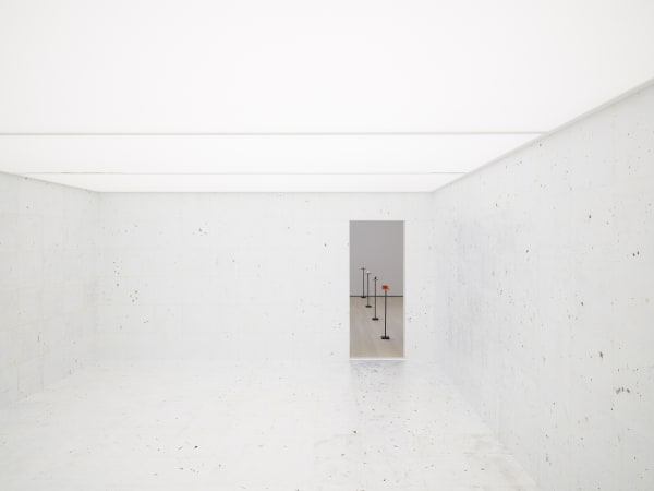 Rivane work of days install, with doorway