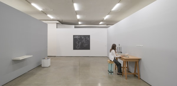 MAM install view Rivane