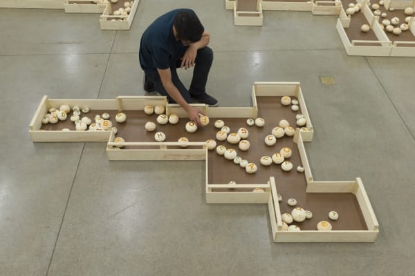 Rivane MAM show, carved fruit installation