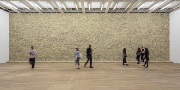 moss wall with people