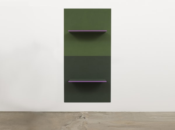 lisa williamson body board