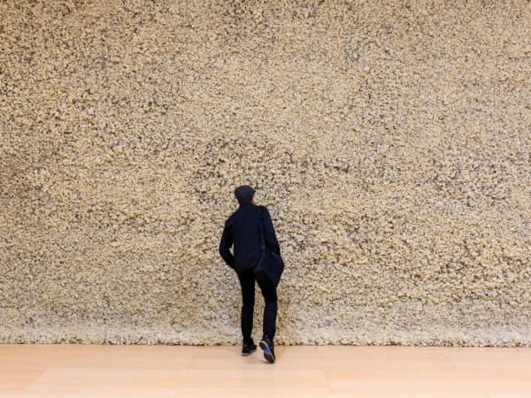 image of eliasson, moss wall