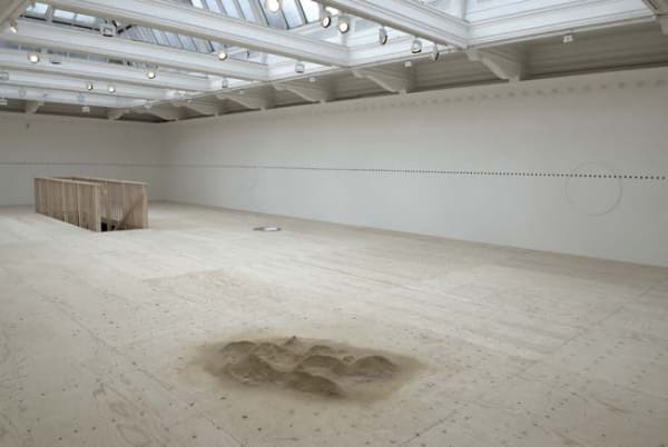 installation image from South London Gallery