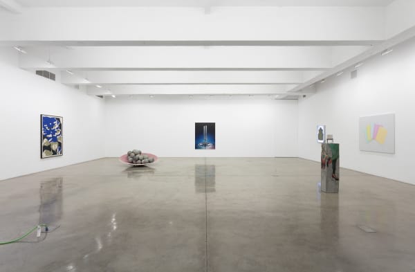 Installation view of Pine Barren.