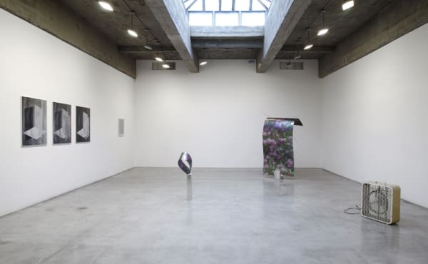 Installation view of Maybe it's the light that has to change and not much else.