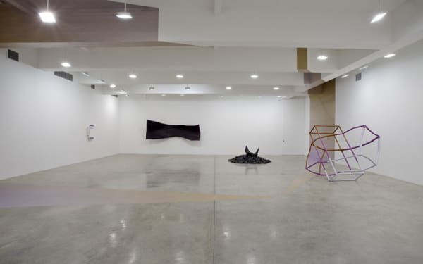 Liz Larner installation image.