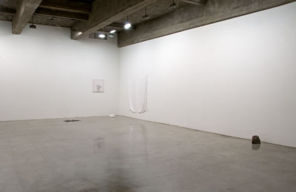 Installation images of IAN KIAER's exhibition.