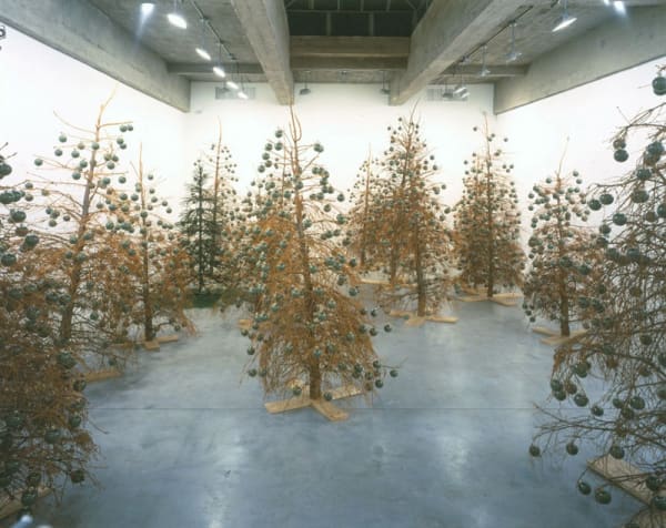 Installation view of SIOBHÁN HAPASKA.